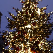 Ёлочка к Новому году! Какая она?