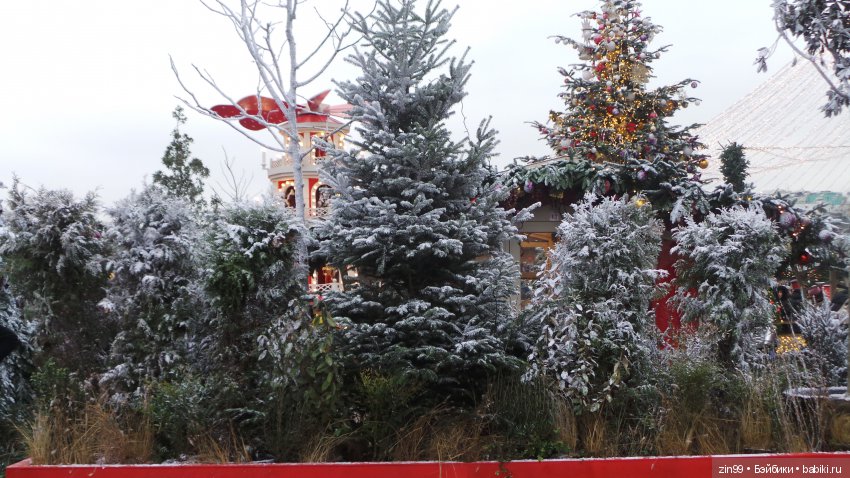 В преддверии Нового года, Манеж, Ёлки, Центр