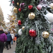 В преддверии Нового года, Манеж, Ёлки, Центр