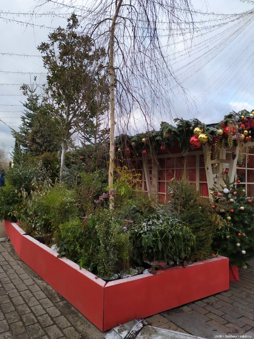 Путешествие в Рождество, Москва космическая (фото 6)