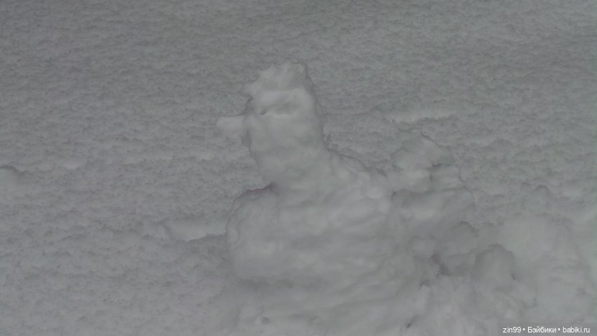 Дождались! Снежная прогулка в января, в парке (фото 4)