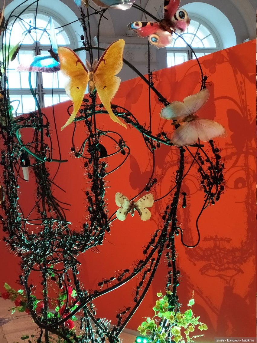 Сальвадор Дали — Интересное и необычное: фотоподборки (фото 10)