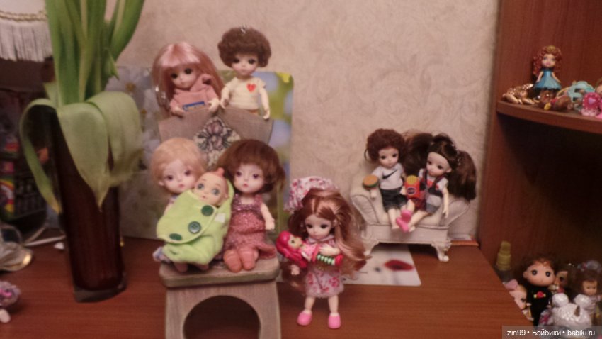 Все разные и симпатичные Баболи, их всё больше