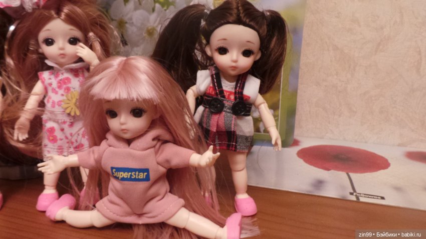 Все разные и симпатичные Баболи, их всё больше