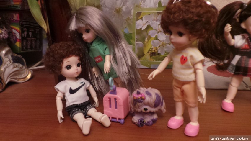 Все разные и симпатичные Баболи, их всё больше