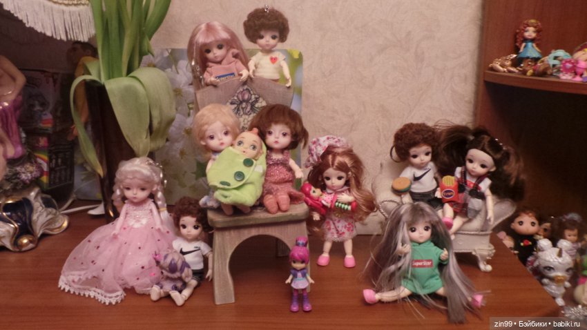 Все разные и симпатичные Баболи, их всё больше