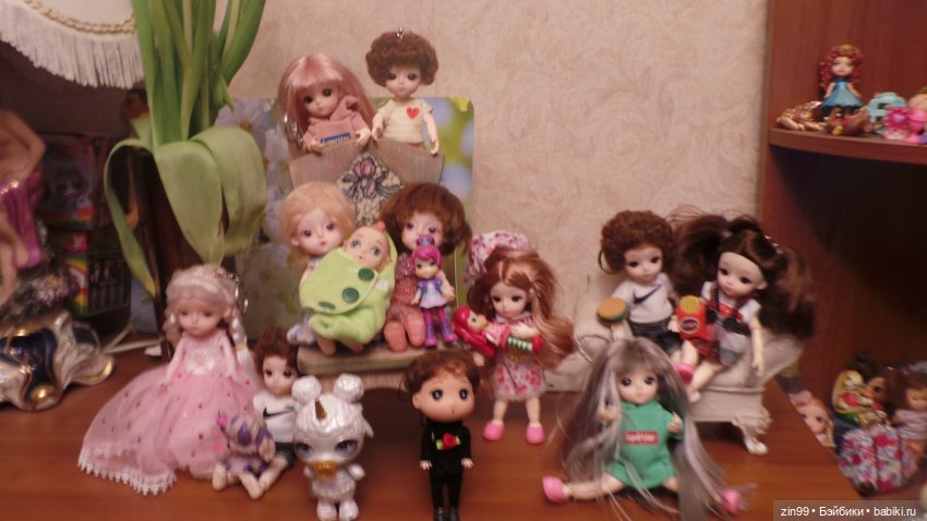 Все разные и симпатичные Баболи, их всё больше