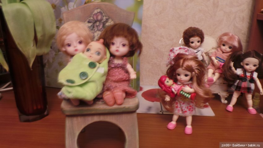 Все разные и симпатичные Баболи, их всё больше