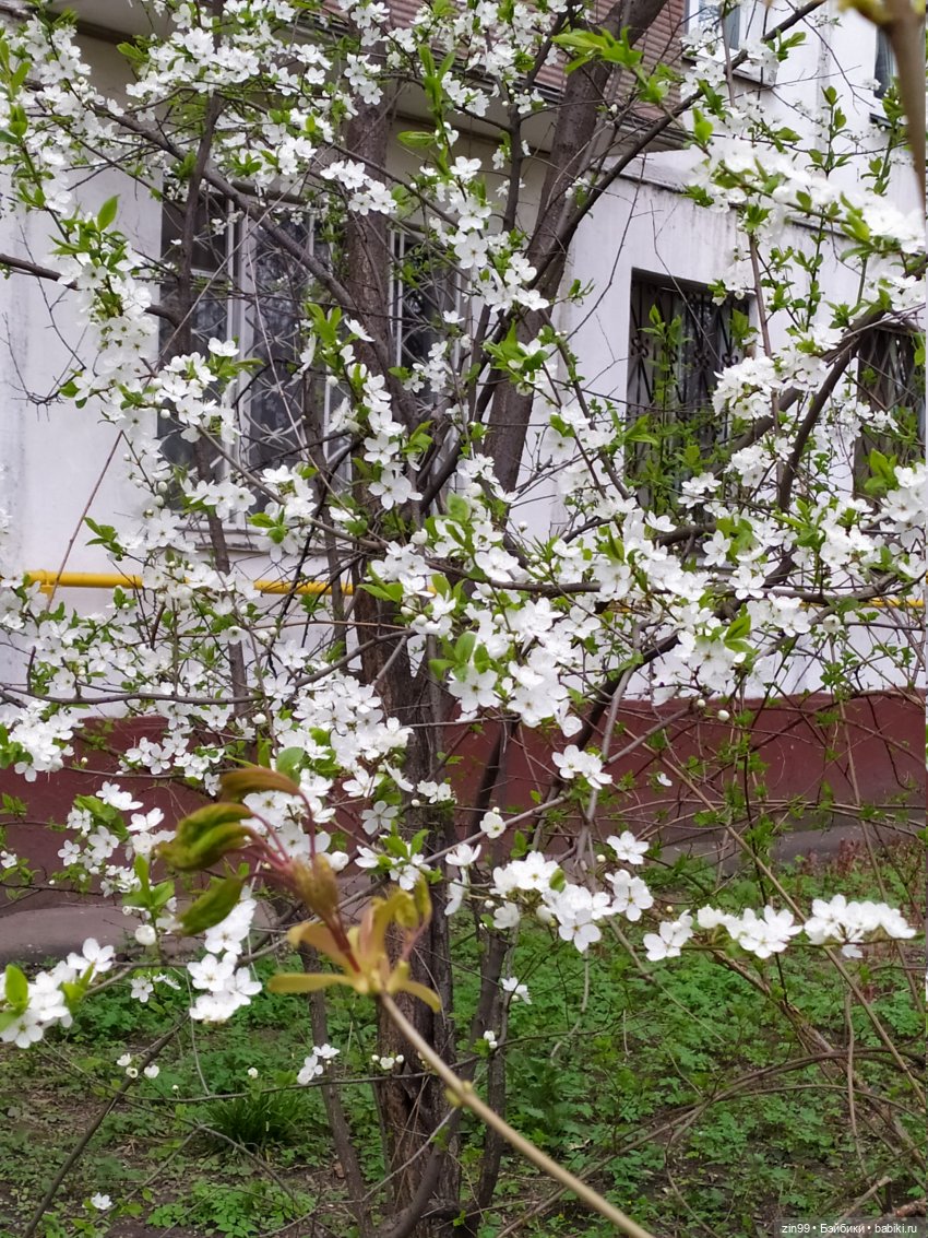 Грустный праздник день Рождения