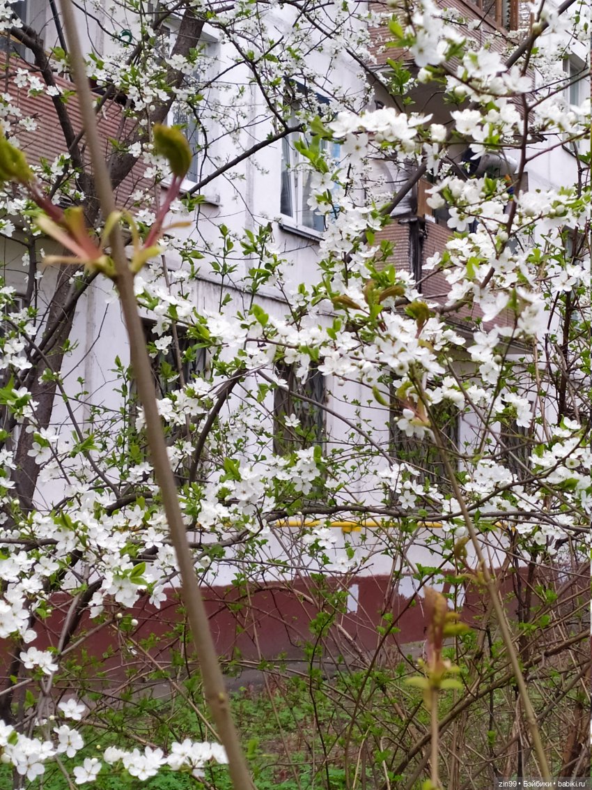 Грустный праздник день Рождения