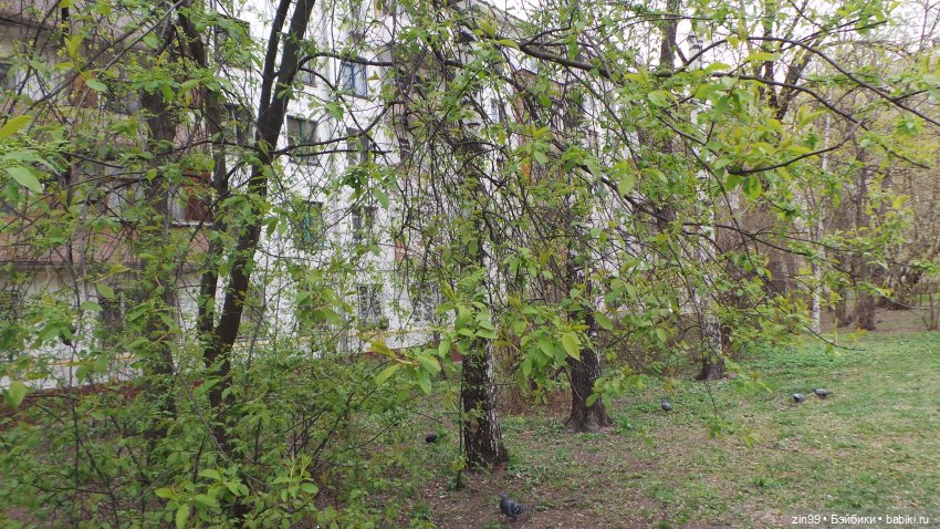 Грустный праздник день Рождения