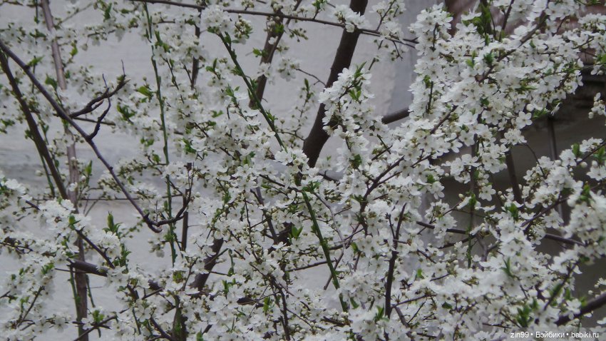 Грустный праздник день Рождения