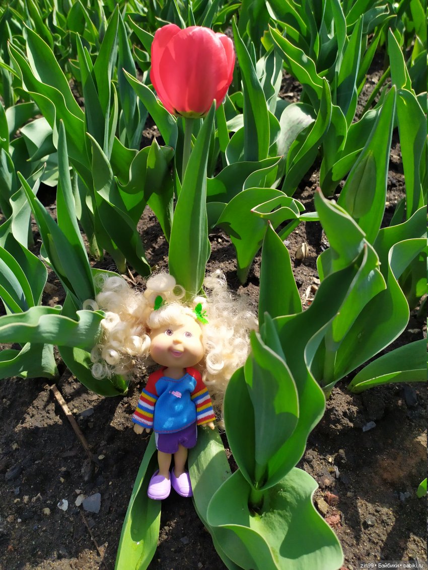 Капусты на природе и в магазине, и не только