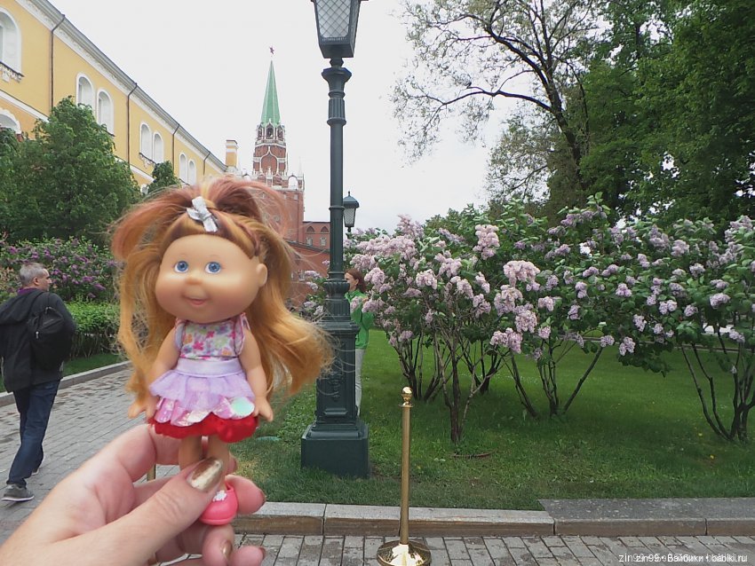 Капусты на природе и в магазине, и не только