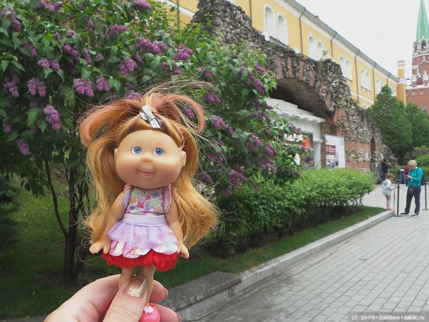 Капусты на природе и в магазине, и не только (фото 5)