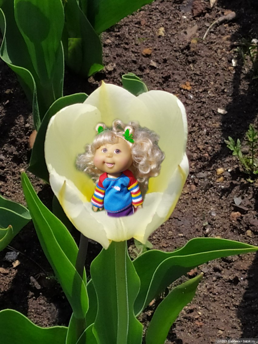 Капусты на природе и в магазине, и не только