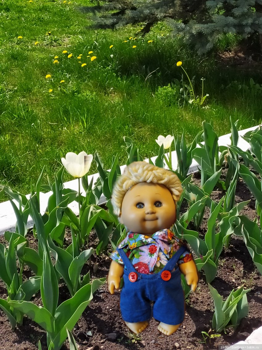 Капусты на природе и в магазине, и не только