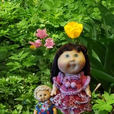 Капусты на природе и в магазине, и не только