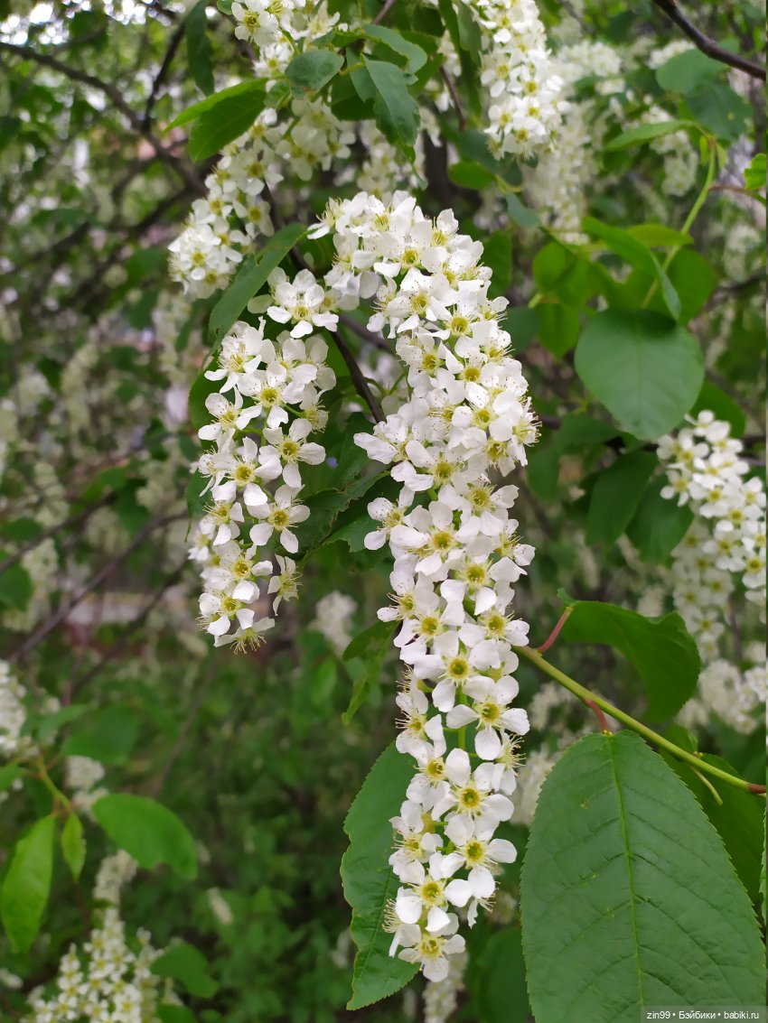Прогулка с Софии Крузелинг