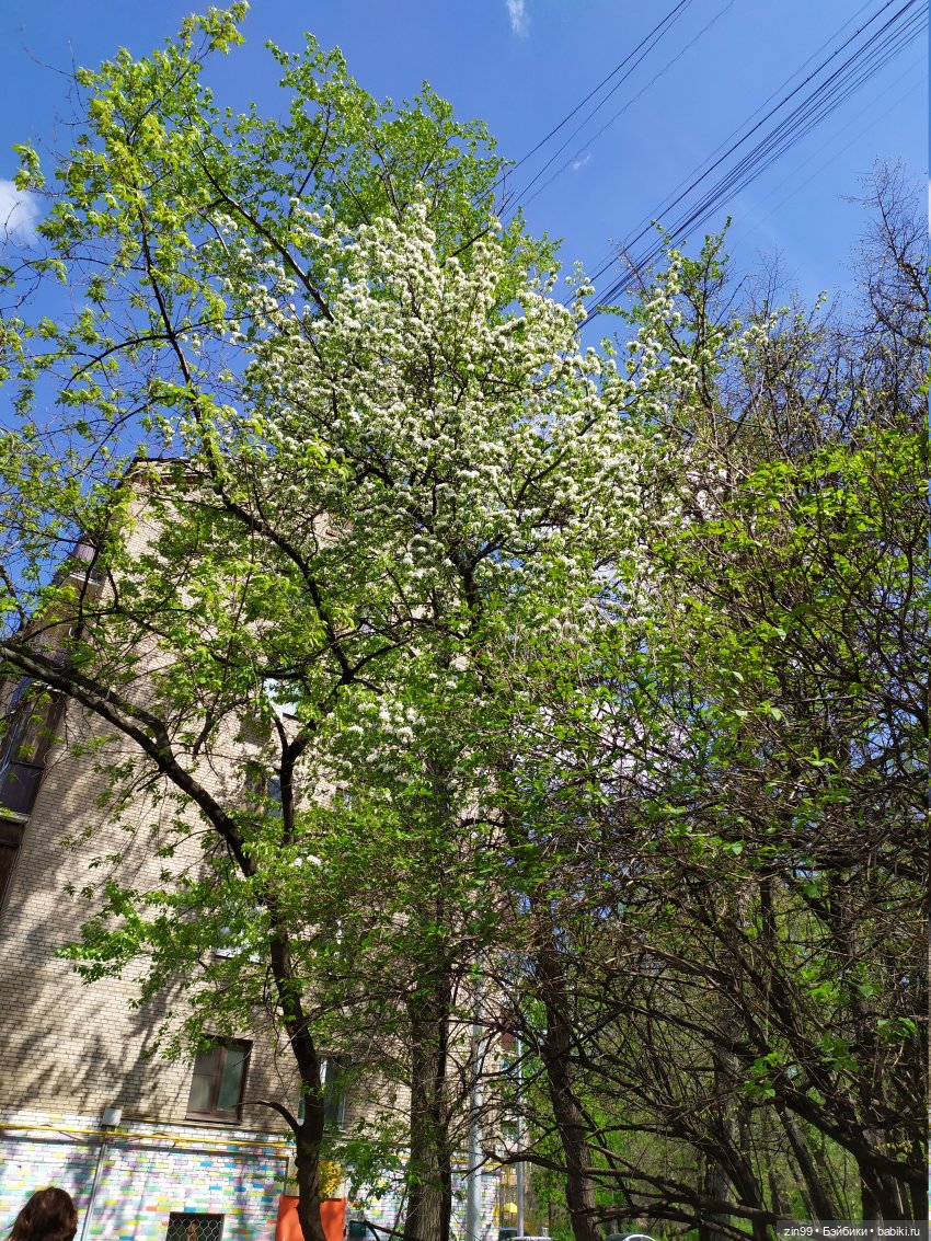 Прогулка с Софии Крузелинг