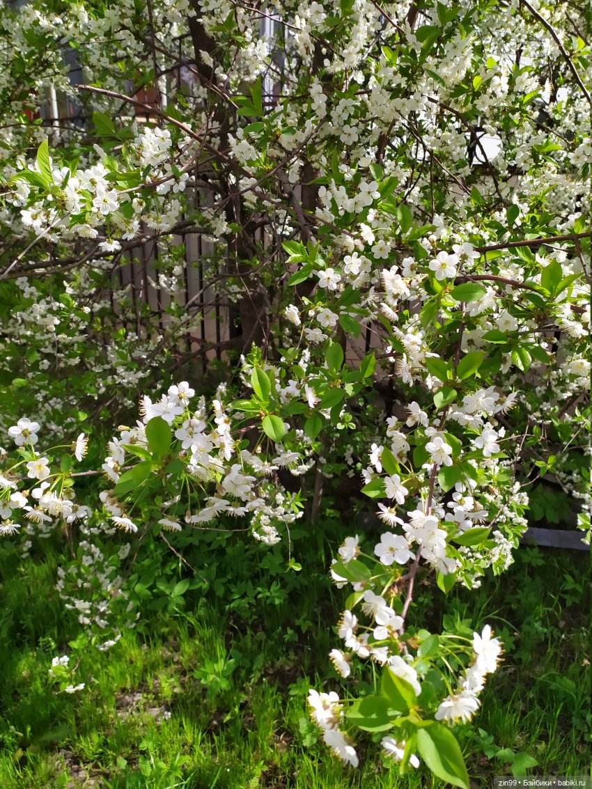 Прогулка с Софии Крузелинг