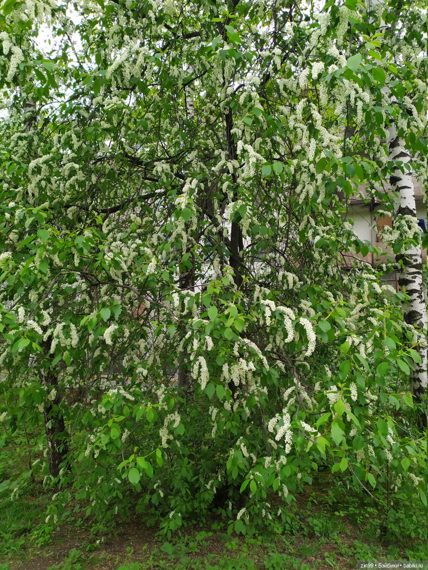 Прогулка с Софии Крузелинг