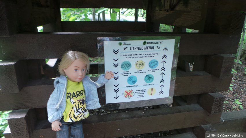 Прогулка в Лес с крузелингами и не только