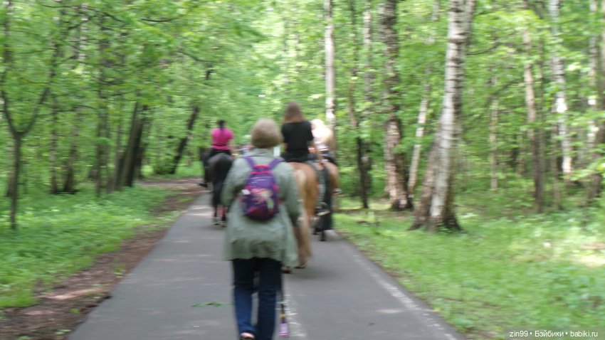 Прогулка в Лес с крузелингами и не только