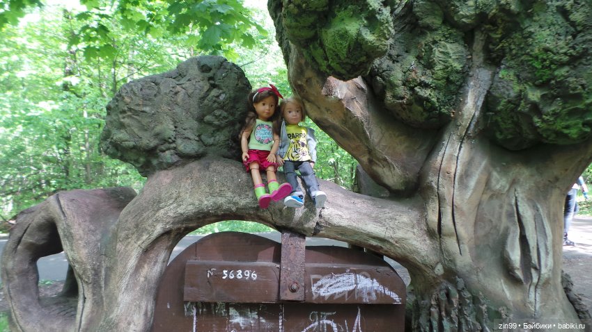 Прогулка в Лес с крузелингами и не только