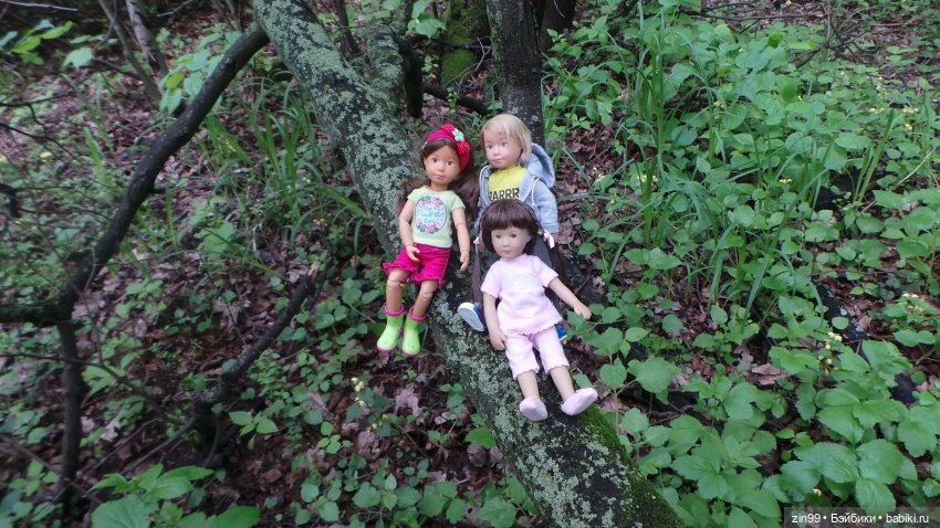 Прогулка в Лес с крузелингами и не только (фото 7)