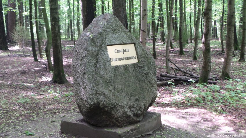 Прогулка в Лес с крузелингами и не только