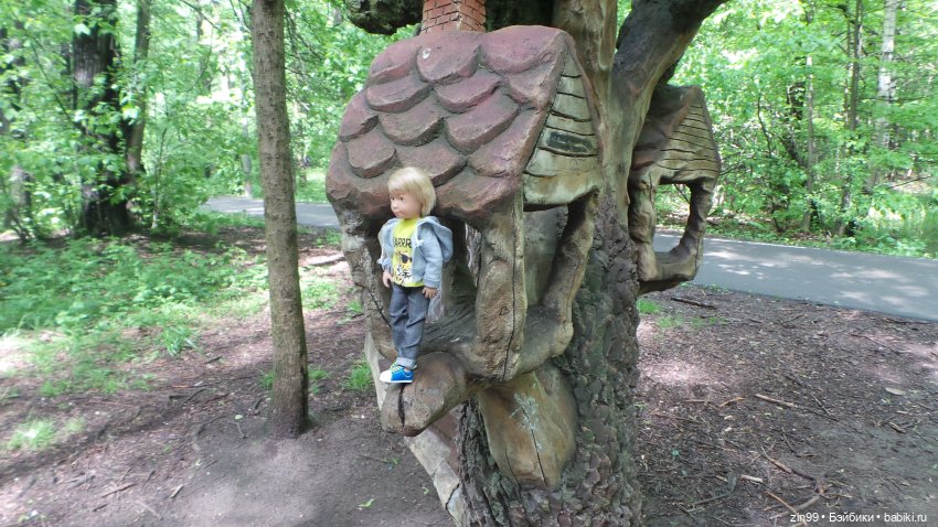 Прогулка в Лес с крузелингами и не только