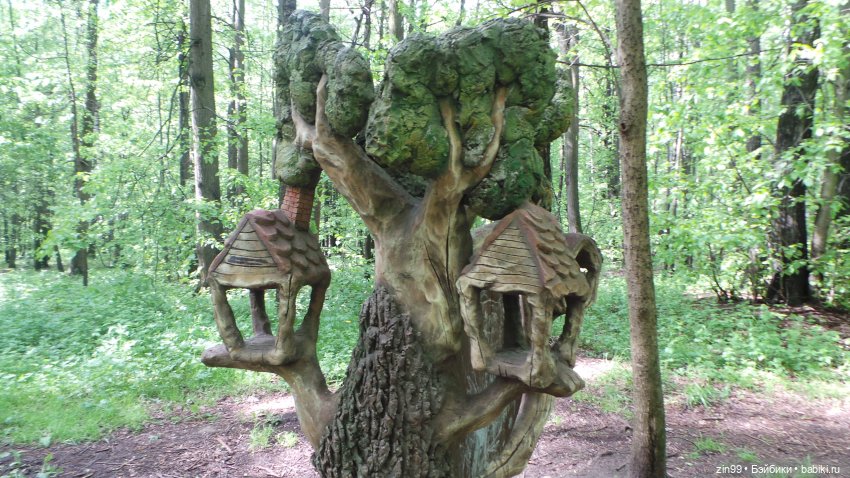 Прогулка в Лес с крузелингами и не только