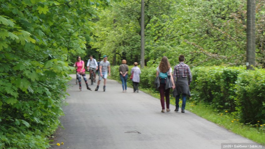 Прогулка в Лес с крузелингами и не только