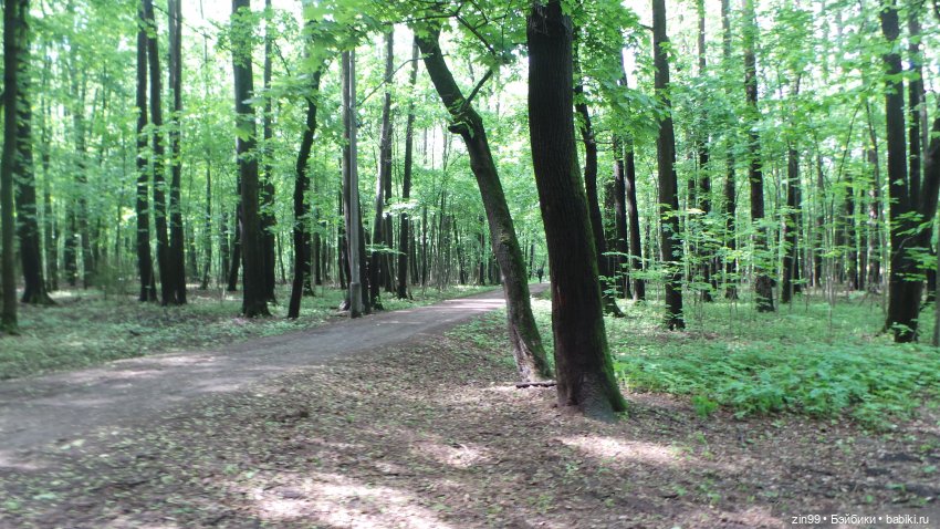 Прогулка в Лес с крузелингами и не только