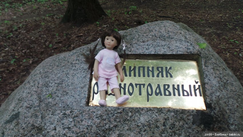 Прогулка в Лес с крузелингами и не только