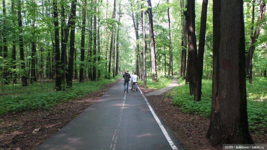 Прогулка в Лес с крузелингами и не только