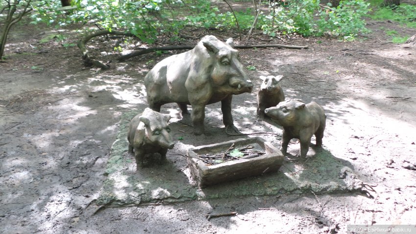 Прогулка в Лес с крузелингами и не только