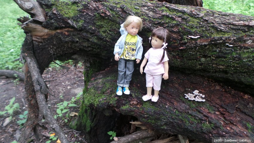 Прогулка в Лес с крузелингами и не только (фото 10)