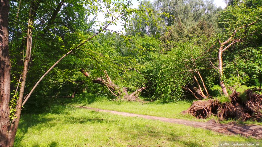 Лето, лето с куклами Zapf