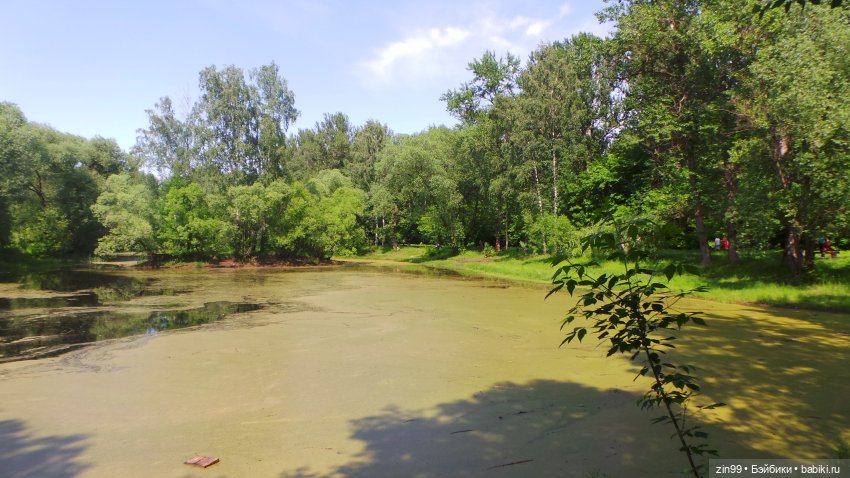 Лето, лето с куклами Zapf