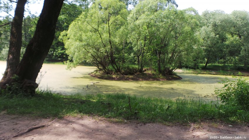 Лето, лето с куклами Zapf