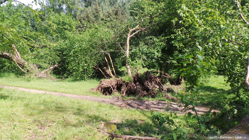 Лето, лето с куклами Zapf