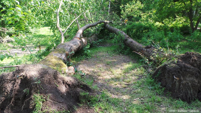 Лето, лето с куклами Zapf