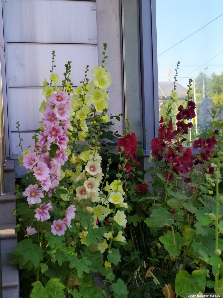 Кукла xiaomi monster, очень интересная