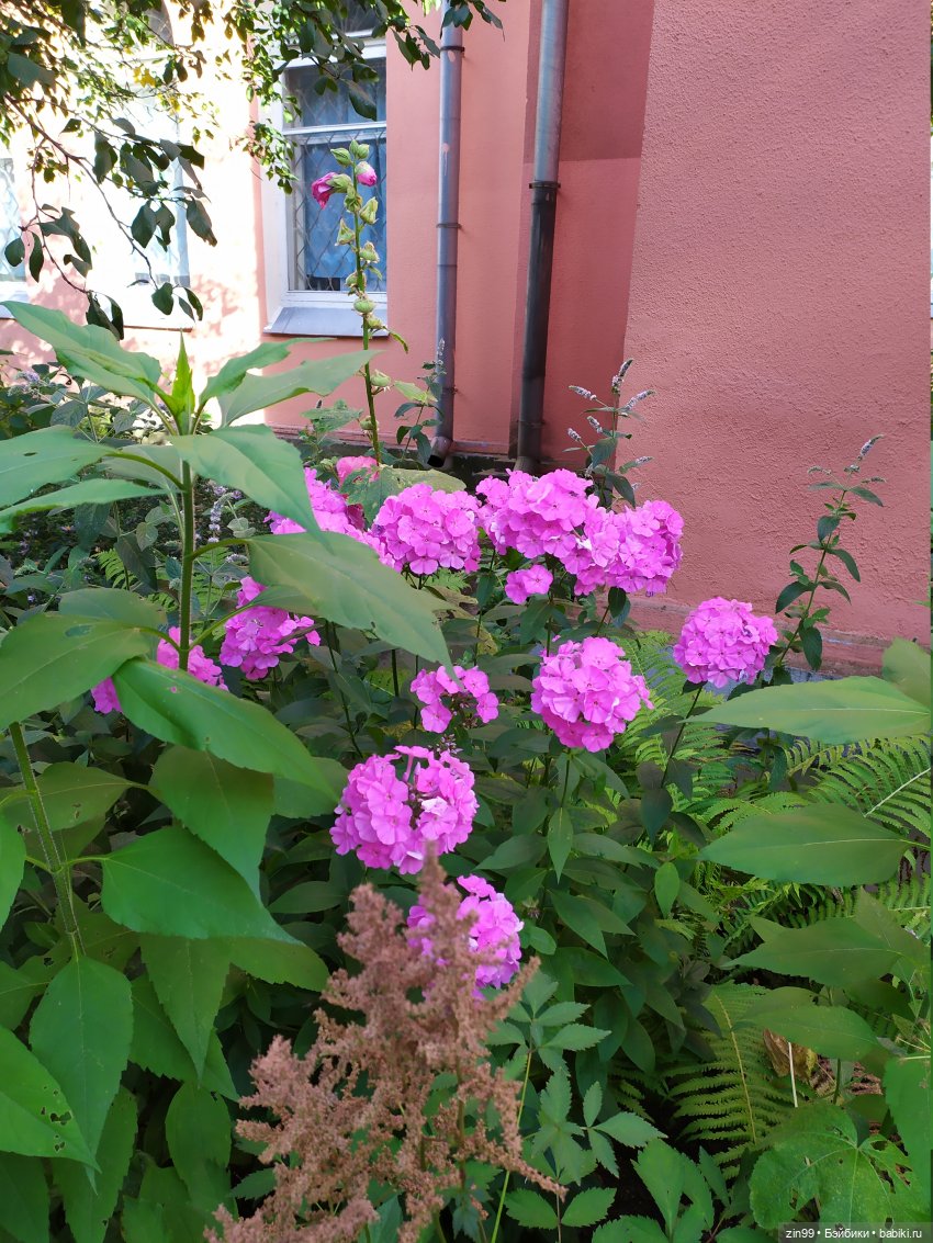 Кто на юг, а я в больницу