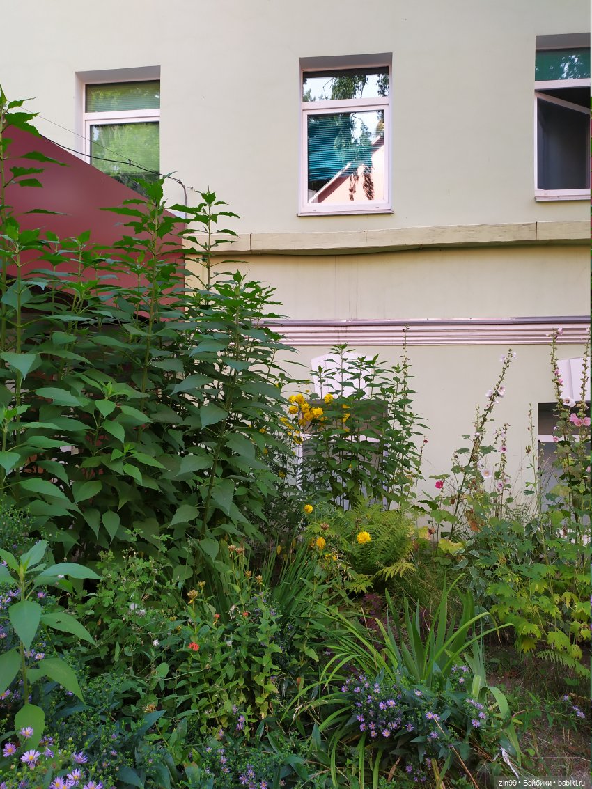 Кто на юг, а я в больницу