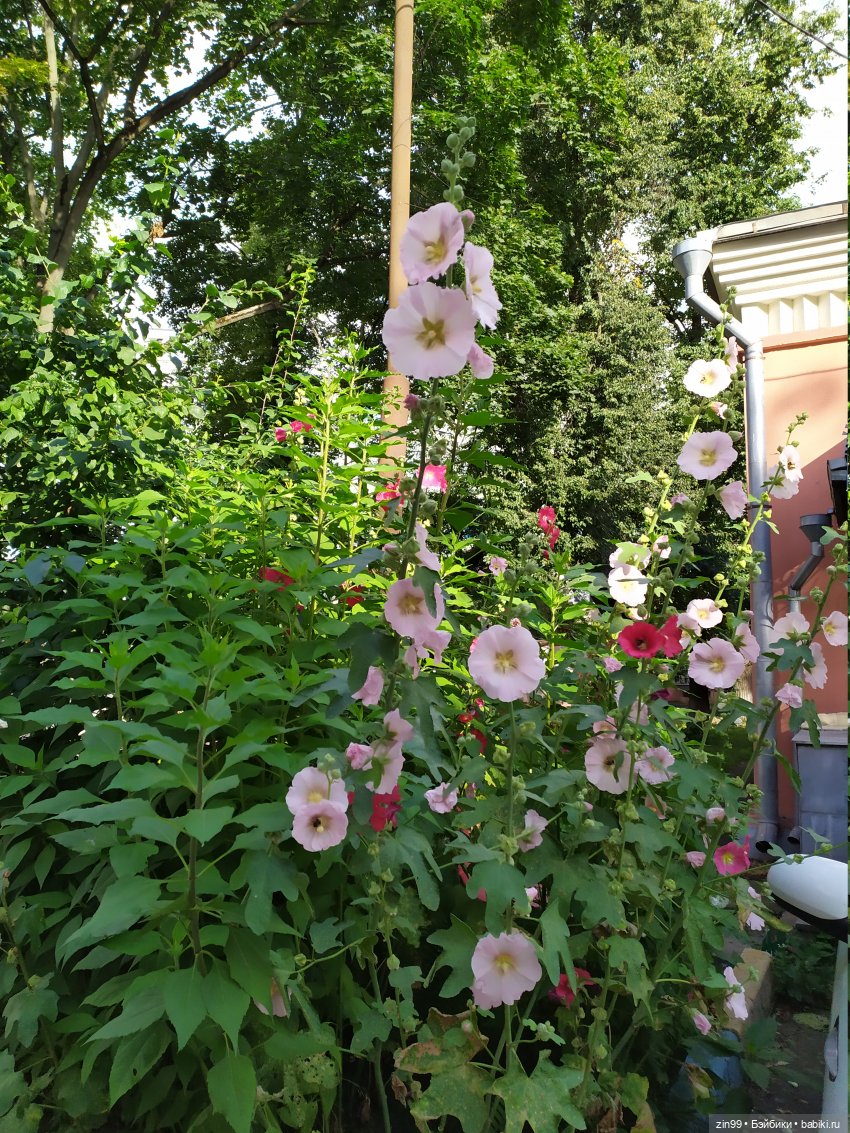 Кто на юг, а я в больницу