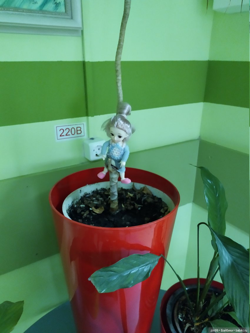 Кто на юг, а я в больницу (фото 10)