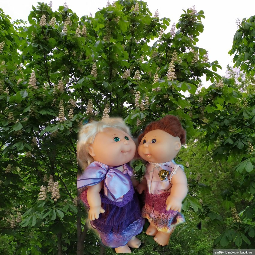 капусточки